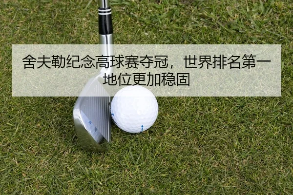 she-fu-lei-ji-nian-gao-qiu-sai-duo-guan-shi-jie-pai-ming-di-yi-di-wei-geng-jia-wen-gu-2-509.jpg