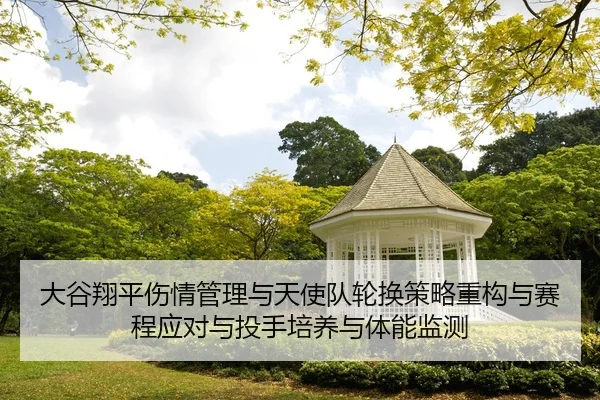 da-gu-xiang-ping-shang-qing-guan-li-yu-tian-shi-dui-lun-huan-ce-lve-zhong-gou-yu-sai-cheng-ying-dui-yu-tou-shou-pei-2-835.jpg
