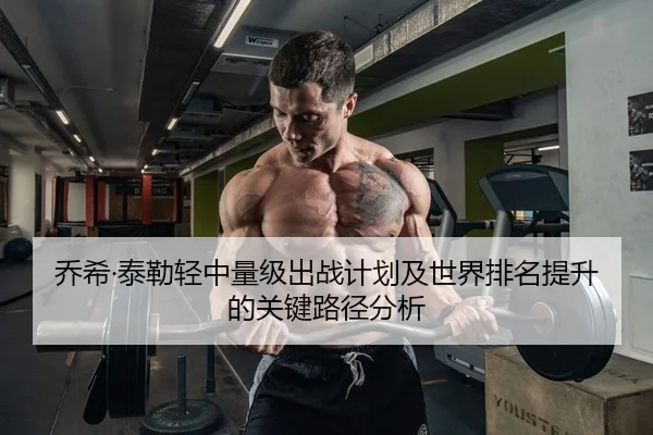 乔希·泰勒轻中量级出战计划及世界排名提升的关键路径分析